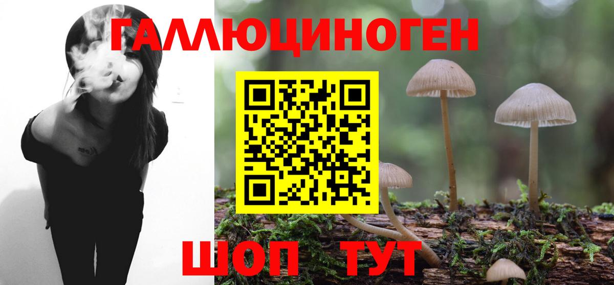 Псилоцибиновые грибы Cubensis Вязники