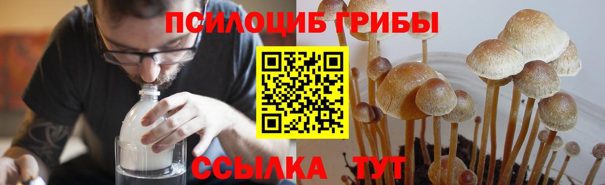 Вязники  Галлюциногенные грибы ЛСД  Псилоцибиновые грибы прущие грибы  даркнет сайт  Вход с VPN 
